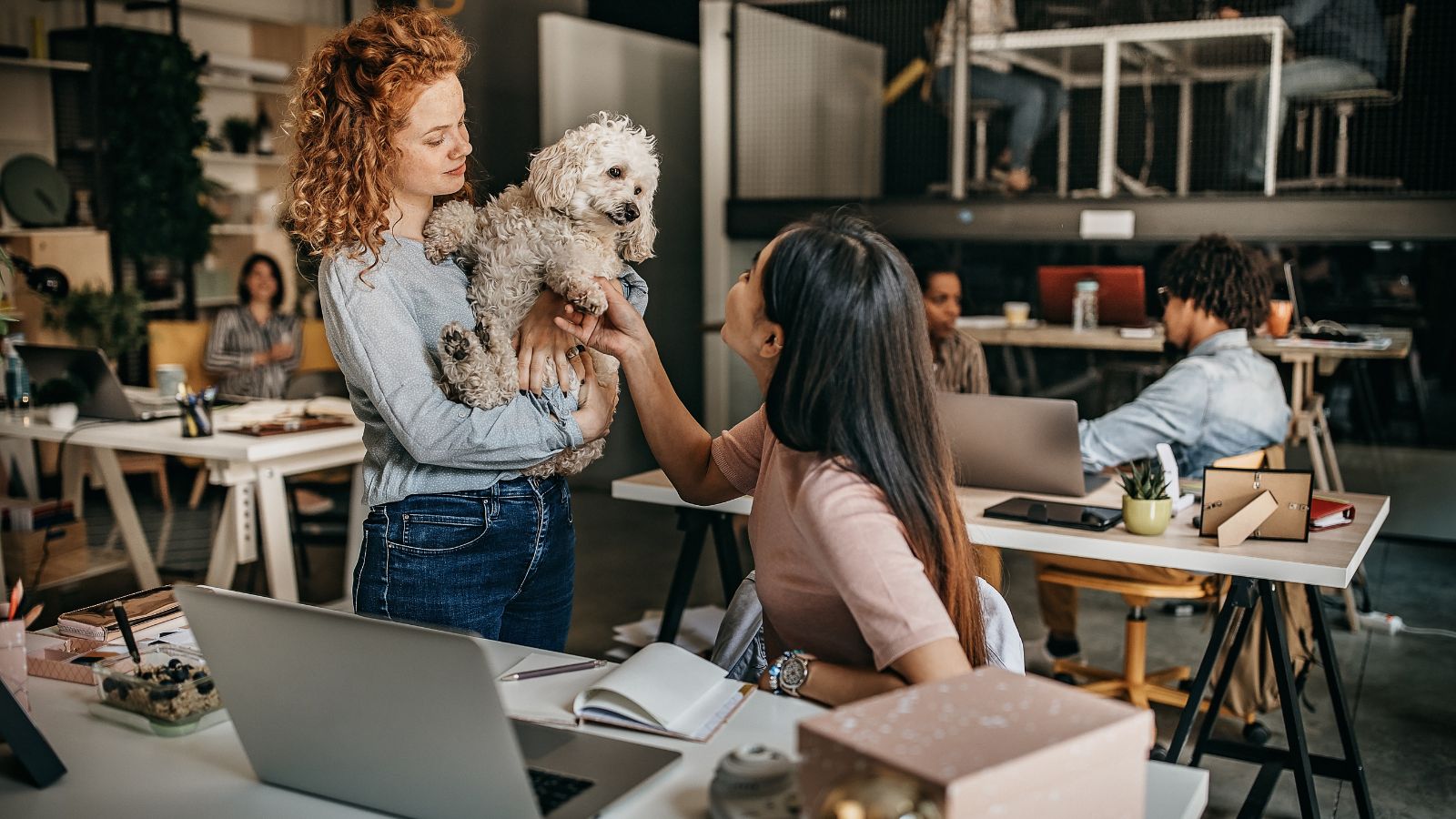 tips for bringing pets to short-term rentals - listytravels.com