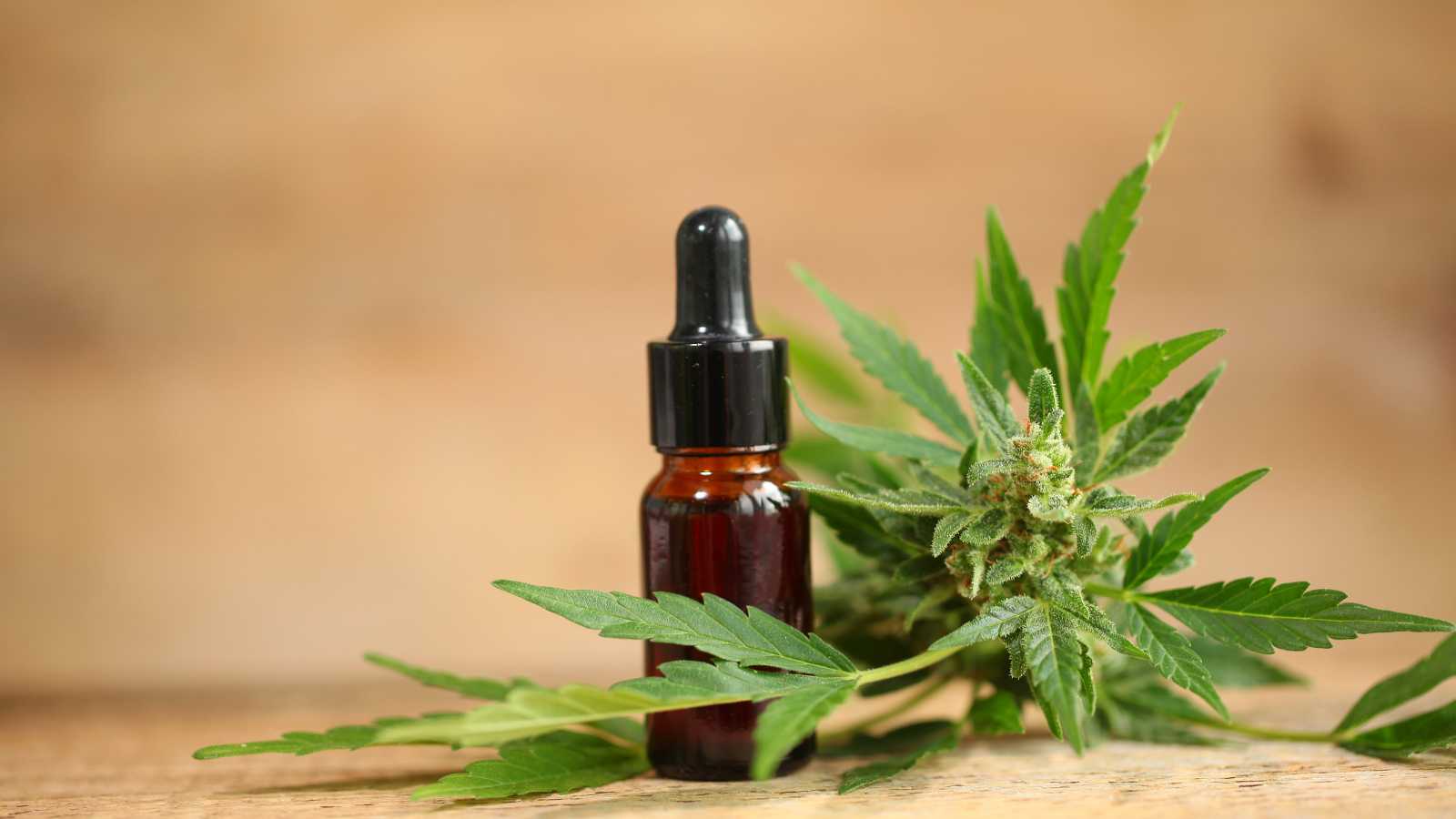 Banned for Life for Prohibited Item: 5 Crucial Lessons to Learn From the Carnival Cruise CBD Incident