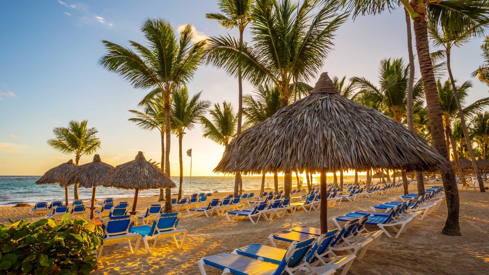 Disney’s Lookout Cay at Lighthouse Point: 5 Essential Tips for Planning Your Visit