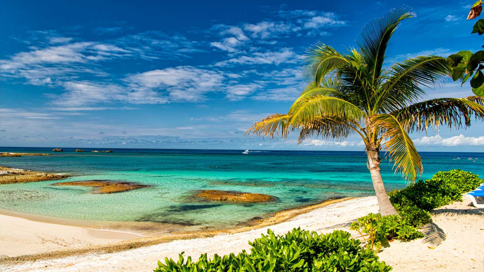 New Lookout Cay Details Revealed: 5 Exciting Features of Disney’s Newest Private Island