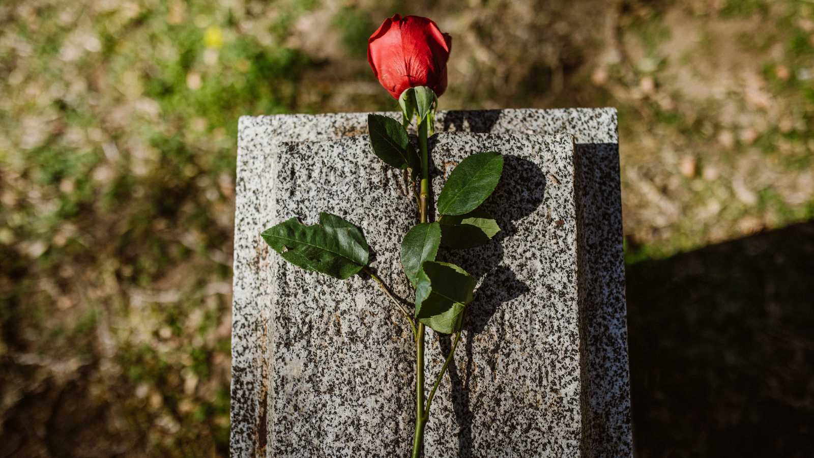 Tragic Event as Cruise Passenger Dies During a Shore Excursion in Tropical Bahamas: 6 Critical Considerations Following a Shore Excursion Tragedy